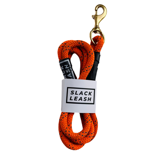 Orange Blue Leash (Recycled)